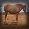 Vaquer - Power Flower
