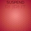 Suspend Burnt - Jany Hanro