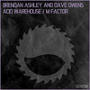 M Factor (Radio Edit) - Brendan Ashley&Dave Owens