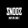 What Am I Now ? - Snooz