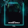 Divided Souls - N!smo