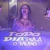 Todo dia pula o muro da minha casa vol.1 (Explicit) - DJ RZ&mc Jajau