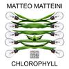 Chlorophyll - Matteo Matteini