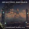 Process Of Evolution (Original Mix) - Spectro Senses