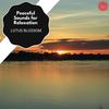Holistic Headspace (Original Mix) - Jack Tindall