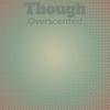 Violence Infringement - Marshe