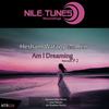 Am I Dreaming (Genuine Mien Remix) - Hesham Watany&Ren