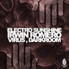 Virus (Original Mix) - Electro Sunshine&Irwin Romero