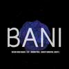 Bani (feat. Snigdha Pious, Sandeep Gurrapadi & Sarath) - Neehar Kiran Dabade&Snigdha Pious&Sandeep Gurrapadi&Sarath