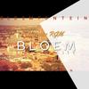 BloemCity (Radio Edit) - Meerster Rgm