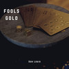 Fools Gold (Explicit) - Don Louis