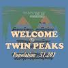 Twin Peaks - The Joy Formidable