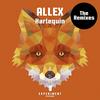 Harlequin (Gijs De Mik Remix) - Allex&Gijs De Mik