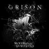 Never What You Wanted - Orison