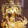 Shakti 4i20 Y Zanon (Remix) - MBT