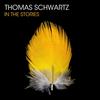 In The Stories (Fausto Fanizza & Thomas Schwartz Remix) - Thomas Schwartz