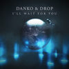 I'll Wait for You - Danko&DROP