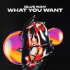 What You Want - Blue Man&Dennis Stoll