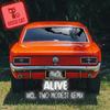 Alive (Two Modest Remix) - Pansil