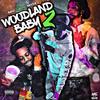 I'm High (feat. Baby 9eno & Lil Neff) (Explicit) - BandChasingMooda&Baby 9eno&Lil Neff
