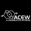 Episode 1 (Original Mix) - A Credible Eye Witness