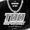 Too Important (Explicit) - MIXEDBYCROOK&Big $wift