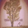 What About Us - 从格幻声