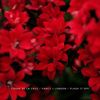 Flash It Off - Cosme De La Cruz&Fancy J London