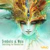 Signs Of Revolution (Waio Remix) - Symbolic
