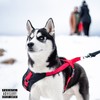HUSKY(feat. A.GIRL, Big Skeez & Project Peters) (Remix|Explicit) - Lil Spacely&Korky Buchek&Tasker&A.GIRL&Big Skeez&Project Peters
