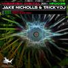 Secrets (Original Mix) - Jake Nicholls&Trickydj