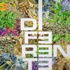 Diferente (Explicit) - Riko