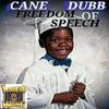 Change the Game (Explicit) - Cane Dubb&Pain Stu&QB