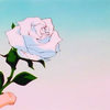 Is It Too Much to Ask For - Jordan Maxwell&Shiloh