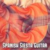 Mazurka in G - Spanish Guitar Chill Out
