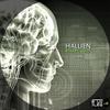 10101010011 - Hallien