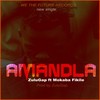 Amandla (Radio Edit) - Zulugap&Mokaba Fikile