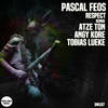 Respect (Atze Ton Remix) - Pascal Feos