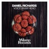 Voices in My Head (Niko De Angelis Dub Mix) - Daniel Richards