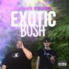 Exotic Bush (feat. Bth Blaze) (Explicit) - StripsBeats&BTH BLAZE