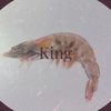 King - Marce Gees
