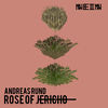 Rose of Jericho (Parissior Remix) - Andreas Rund&Parissior