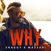 Why - Shaggy&Massari