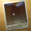 Polaroid - Goldfish & der Dulz