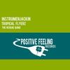 The Reggae Band (Dub Revision) - Instrumenjackin&Tropical Flyerz