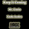 The One Track - Mr. Guelo