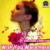 Wish You Were Here (DJ Lisanti ItaloDance Remix) - Marq Aurel&Marc Stan