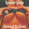 Sound Is Soul (Original Mix) - Leonid Gnip