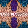 TOLL BLOSSOM - MzAySes