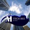 Tech Bee (Original Mix) - DJ Taus